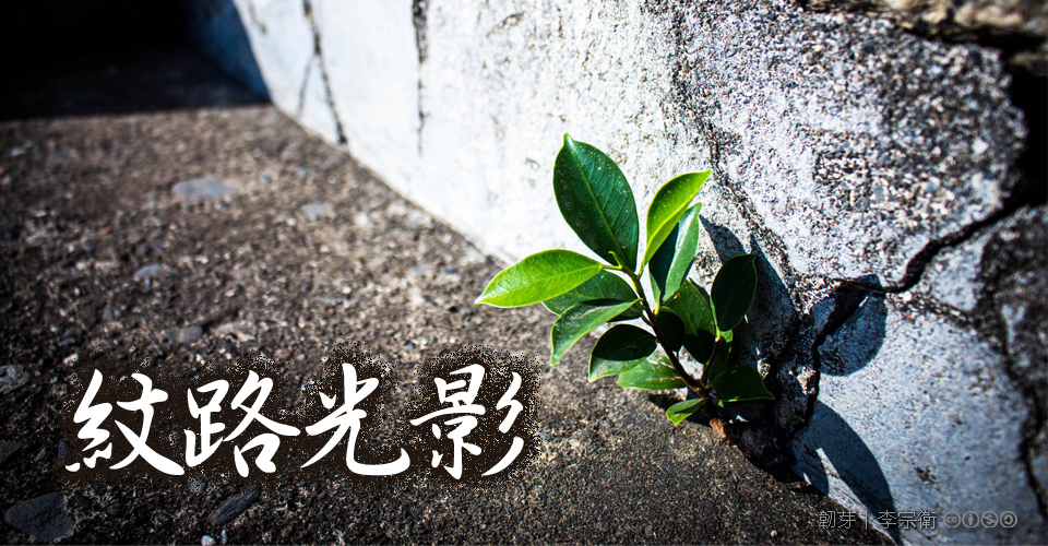 紋路光影徵件得獎看板